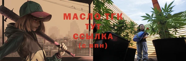МДПВ Богородск