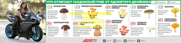 ПСИЛОЦИБИНОВЫЕ ГРИБЫ Белоозёрский