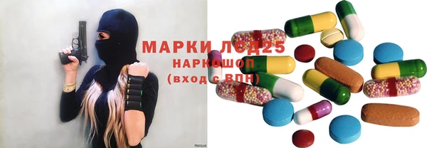 шишки Беломорск