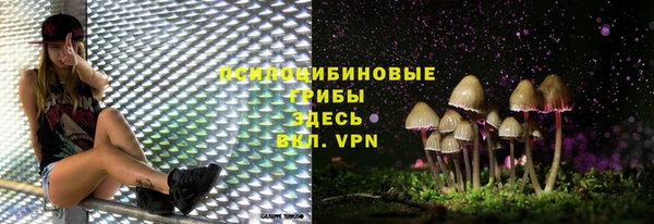 ПСИЛОЦИБИНОВЫЕ ГРИБЫ Белоозёрский