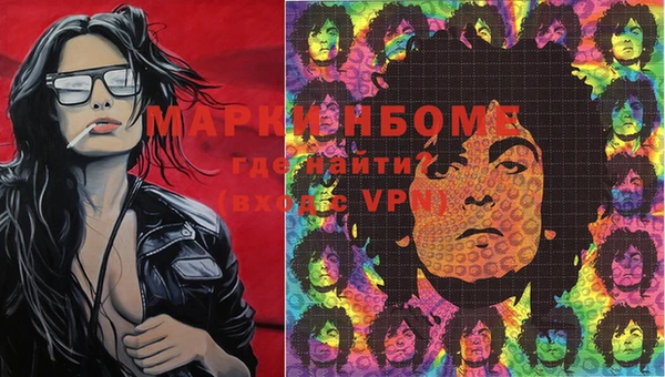 дурь Бородино