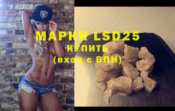 шишки Беломорск
