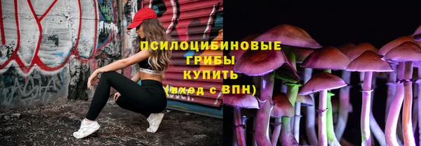 дурь Бородино
